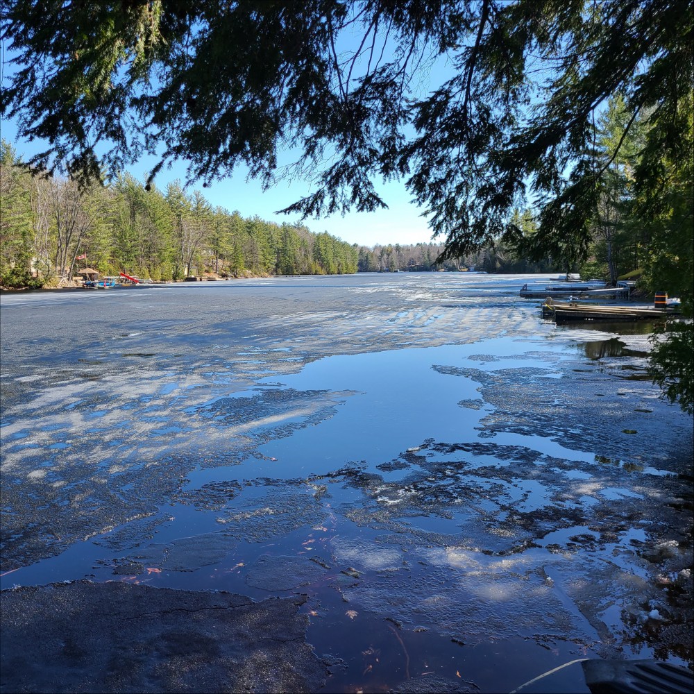 BACK BAY ESTATES, Trent Lakes, Ontario, Canada