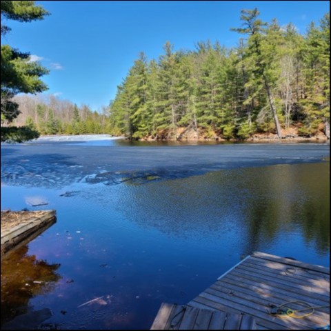 BACK BAY ESTATES, Trent Lakes, Ontario, Canada