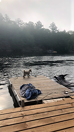 BACK BAY ESTATES, Trent Lakes, Ontario, Canada