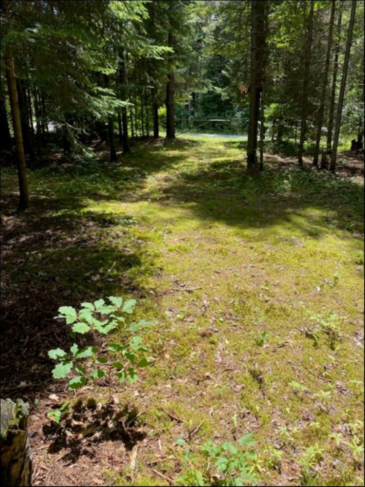 HOWLAND JUNCTION ROAD, Minden Hills, Ontario, Canada