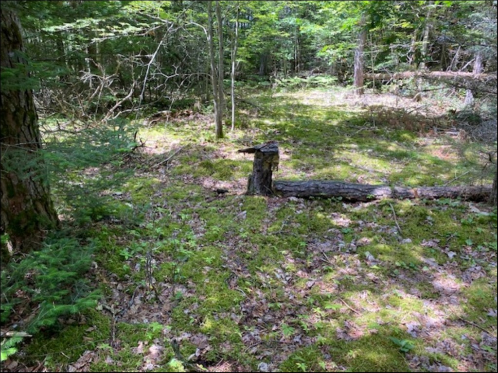 HOWLAND JUNCTION ROAD, Minden Hills, Ontario, Canada