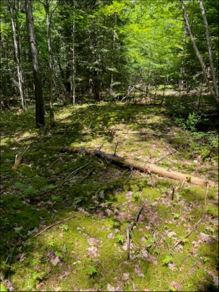 HOWLAND JUNCTION ROAD, Minden Hills, Ontario, Canada