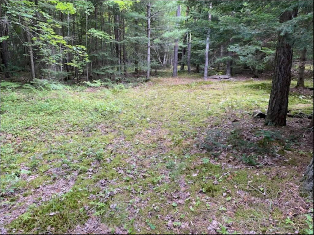 HOWLAND JUNCTION ROAD, Minden Hills, Ontario, Canada