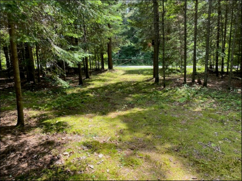 HOWLAND JUNCTION ROAD, Minden Hills, Ontario, Canada