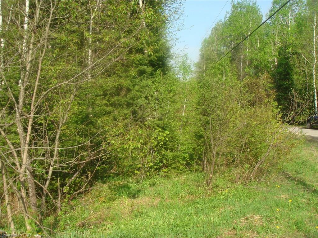 403 CANNING Road, Whitestone Ontario, Canada
