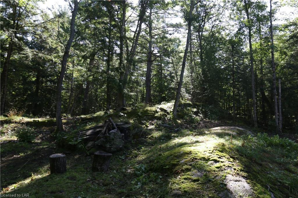 1000 FISH HOOK Lane, Gravenhurst Ontario, Canada