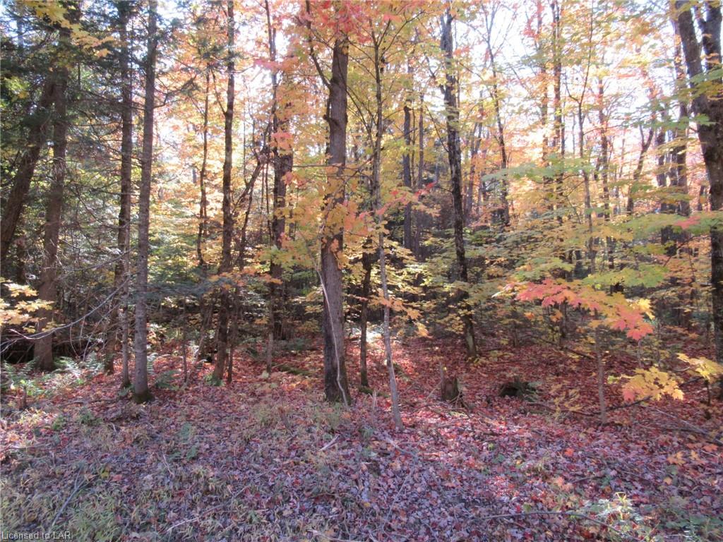 LOT 8 WHITNEY Road, Perry Township Ontario, Canada