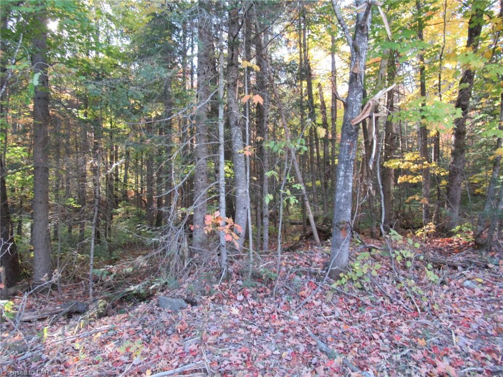LOT 5 WHITNEY Road, Perry Township Ontario, Canada