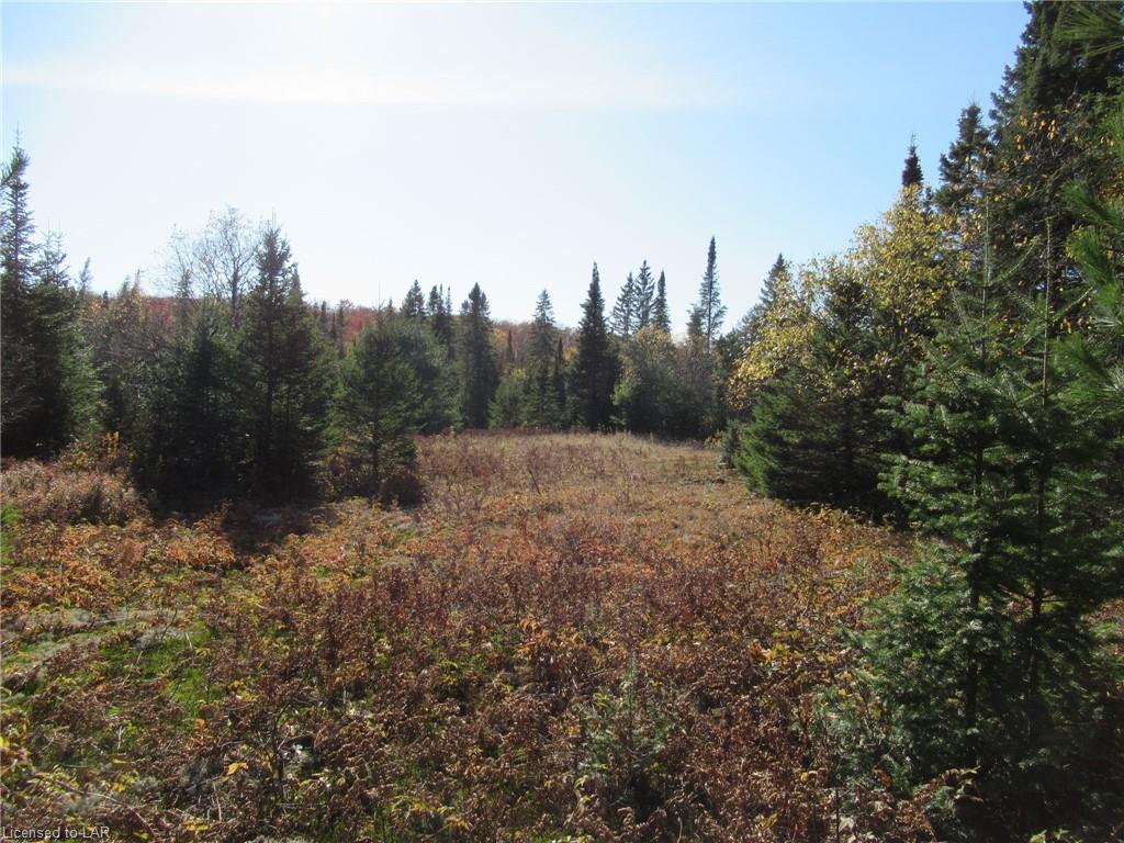 LOT 3 WHITNEY Road, Perry Township Ontario, Canada