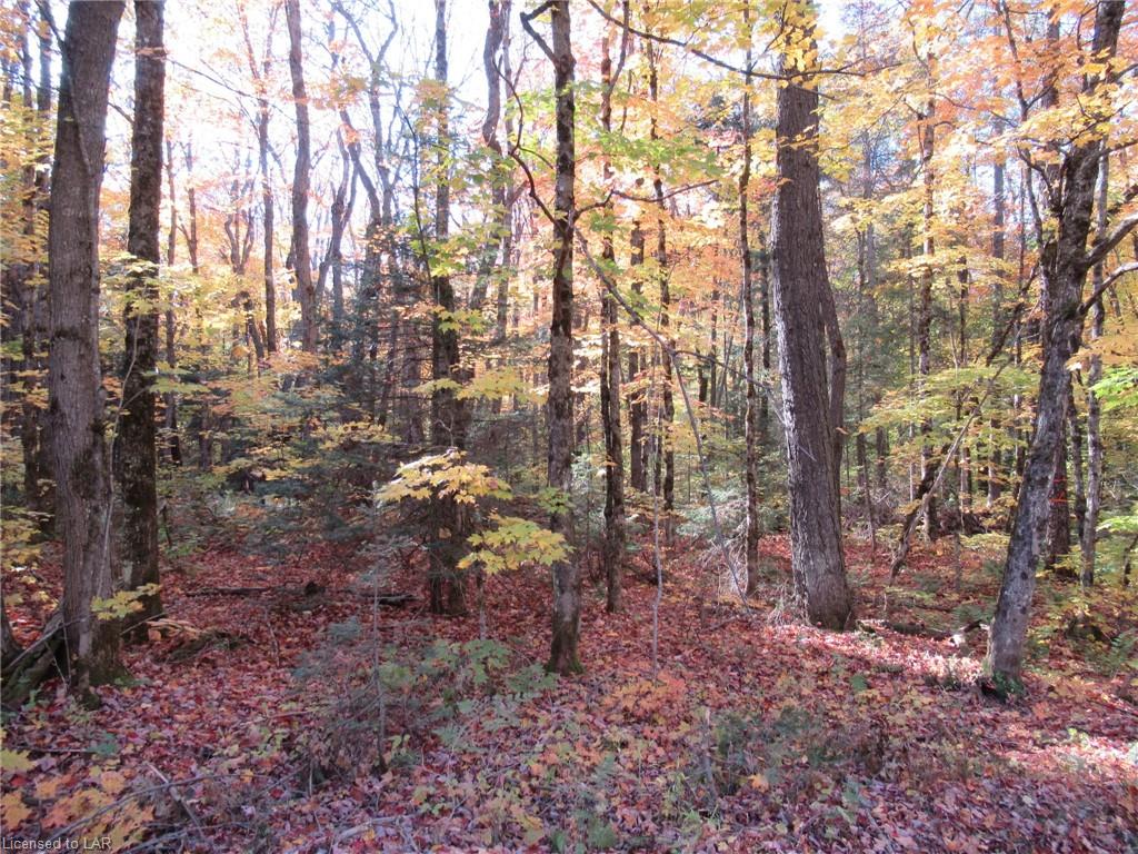 LOT 7 WHITNEY Road, Perry Township Ontario, Canada