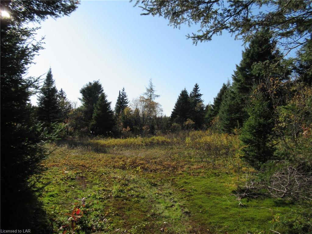 LOT 2 WHITNEY Road, Perry Township Ontario, Canada