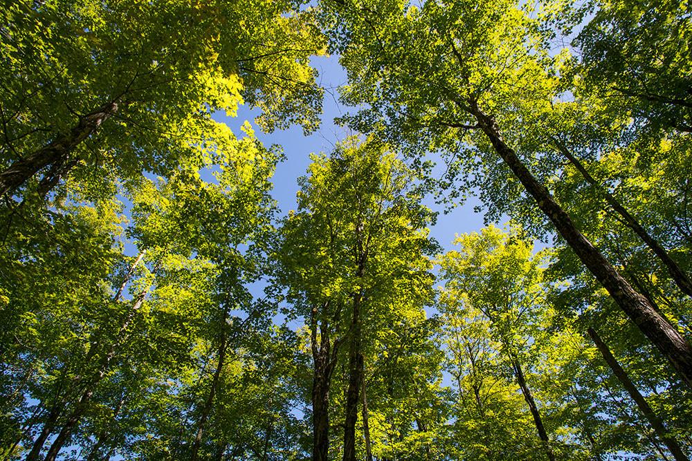 Desbarats Lake Road, Desbarats Ontario, Canada