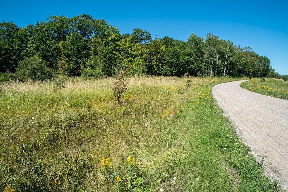 Desbarats Lake Road, Desbarats Ontario, Canada