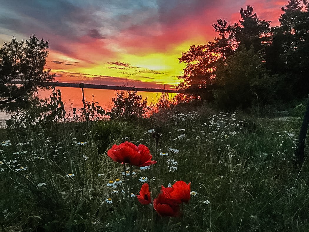 Duval Island, Echo Bay Ontario, Canada