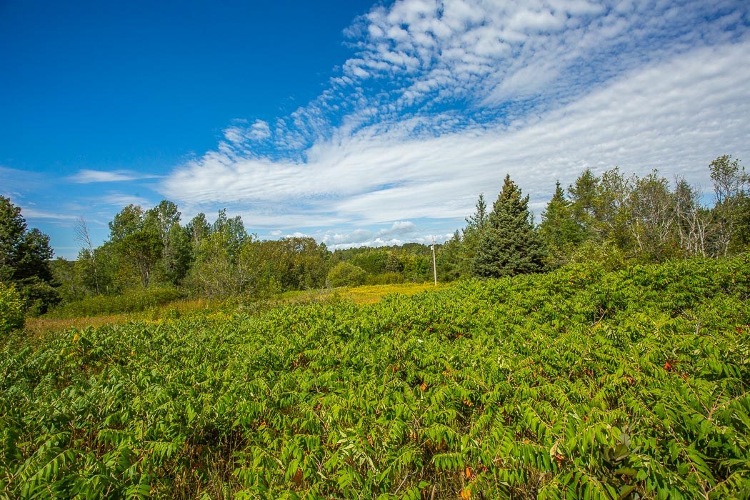 Lot 1 CONC 9 Highway 548, St. Joseph Island Ontario, Canada