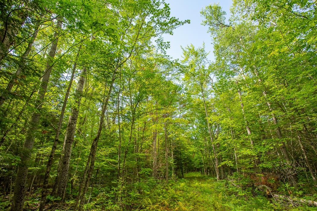 Lot 1 CONC 9 Highway 548, St. Joseph Island Ontario, Canada