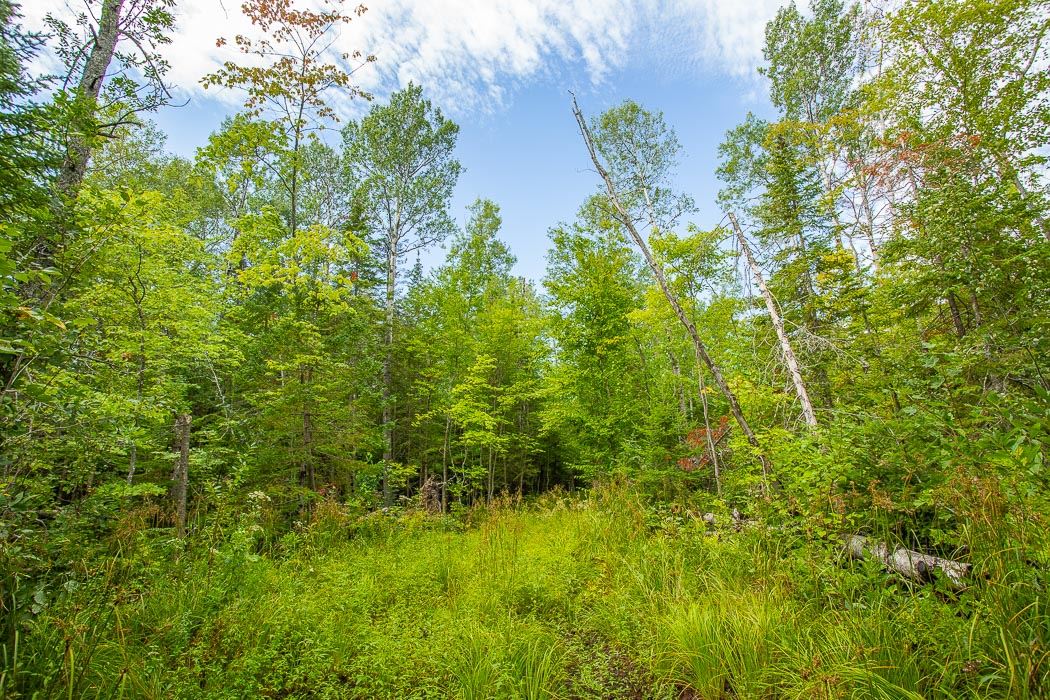 Lot 1 CONC 9 Highway 548, St. Joseph Island Ontario, Canada