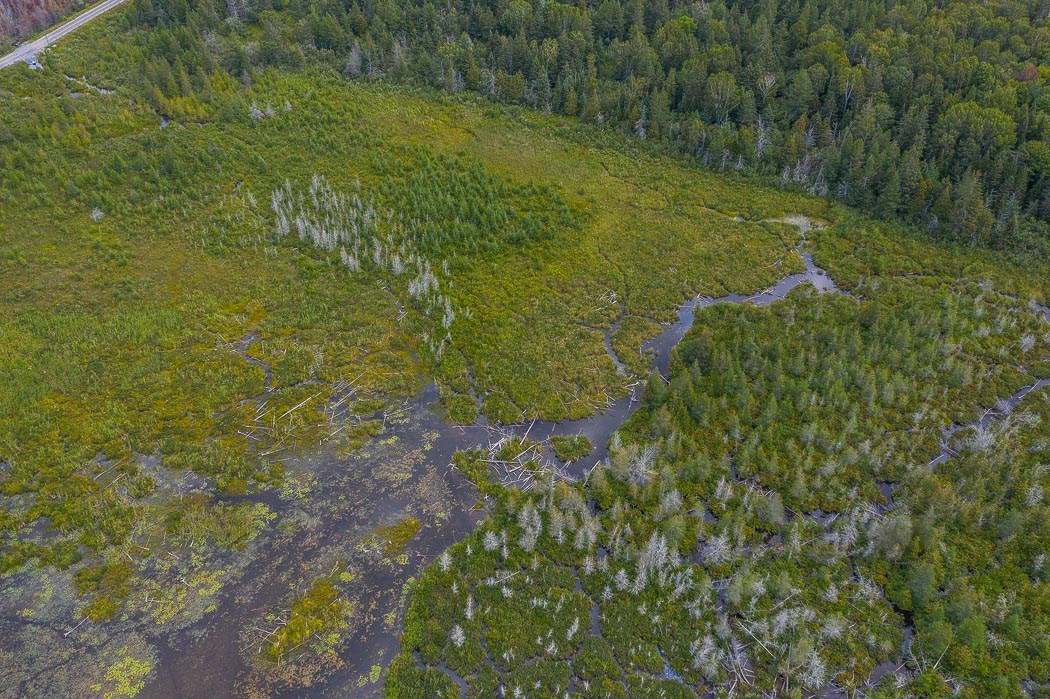 Lot 1 CONC 9 Highway 548, St. Joseph Island Ontario, Canada