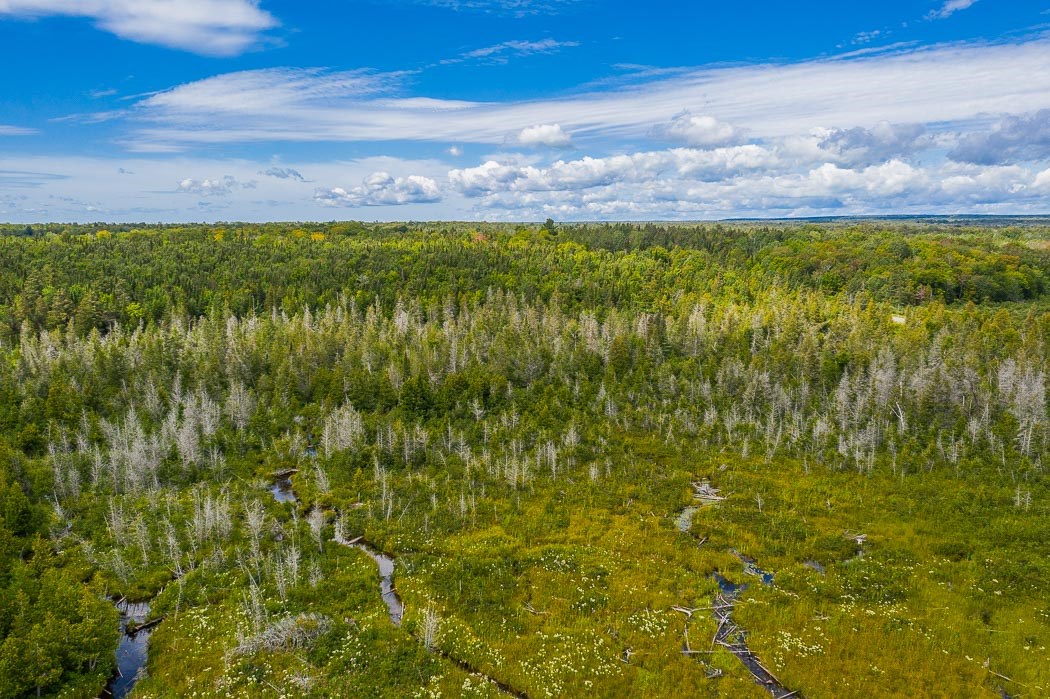 Lot 1 CONC 9 Highway 548, St. Joseph Island Ontario, Canada