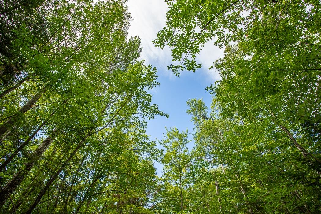 Lot 1 CONC 9 Highway 548, St. Joseph Island Ontario, Canada