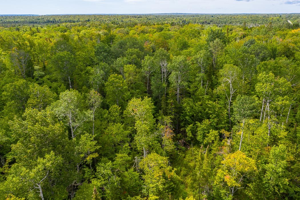 Lot 1 CONC 9 Highway 548, St. Joseph Island Ontario, Canada