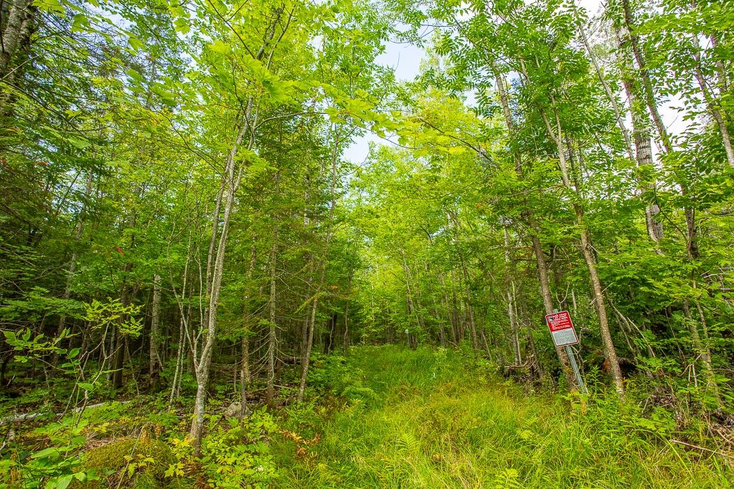 Lot 1 CONC 9 Highway 548, St. Joseph Island Ontario, Canada