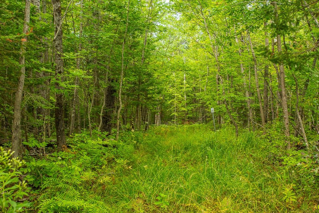 Lot 1 CONC 9 Highway 548, St. Joseph Island Ontario, Canada