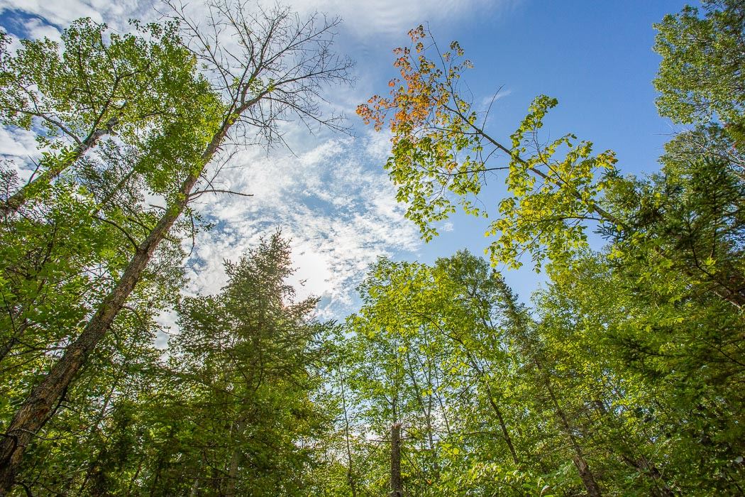 Lot 1 CONC 9 Highway 548, St. Joseph Island Ontario, Canada