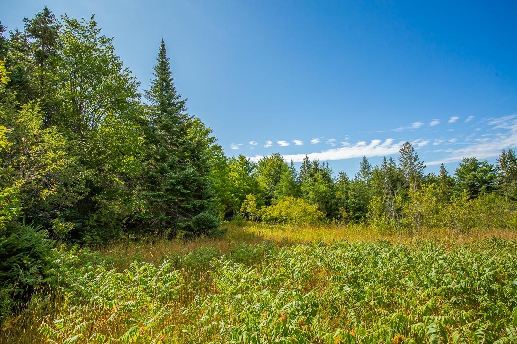 Lot 1 CONC 9 Highway 548, St. Joseph Island Ontario, Canada