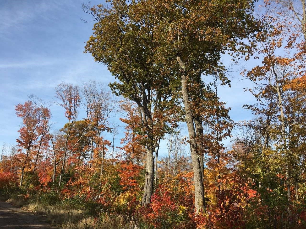 Lot 10 Porchuk Road, Off Reids Road, Echo Bay Ontario, Canada
