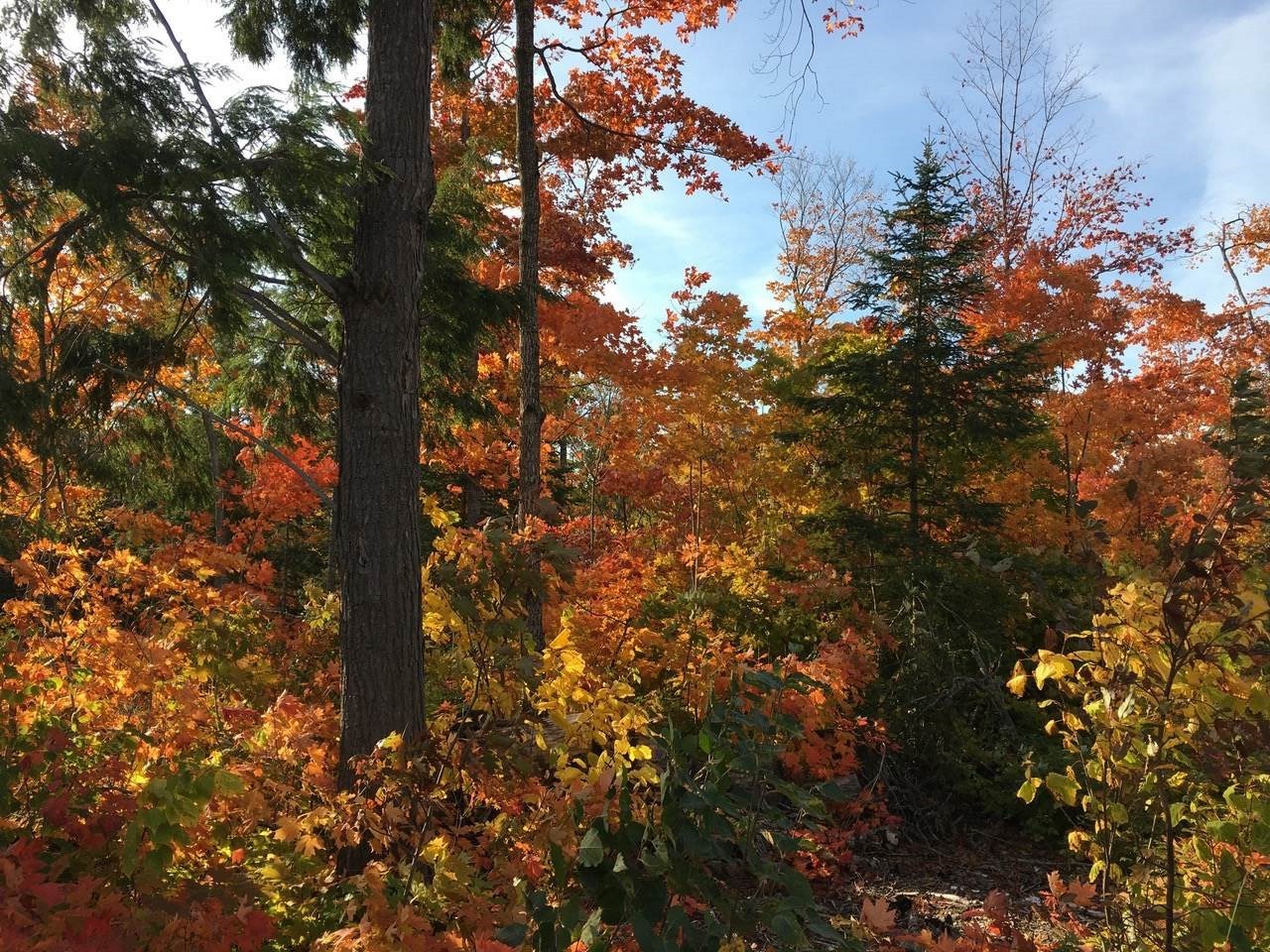 Lot 10 Porchuk Road, Off Reids Road, Echo Bay Ontario, Canada