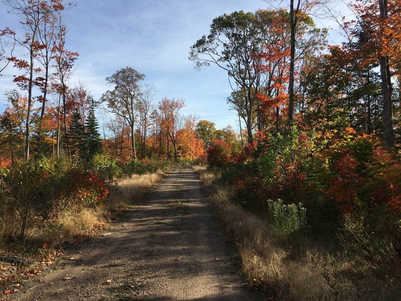 Lot 10 Porchuk Road, Off Reids Road, Echo Bay Ontario, Canada