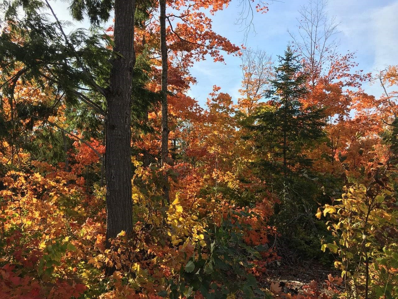 Lot 10 Porchuk Road, Off Reids Road, Echo Bay Ontario, Canada