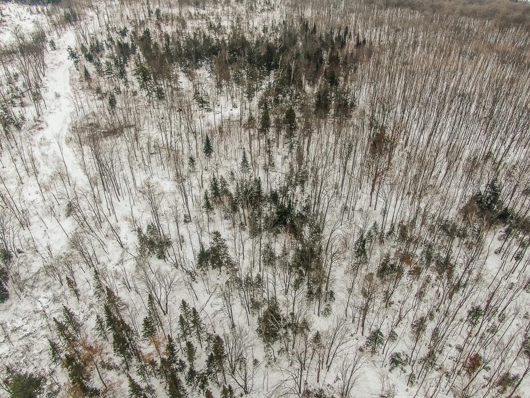 Lot 10 Porchuk Road, Off Reids Road, Echo Bay Ontario, Canada