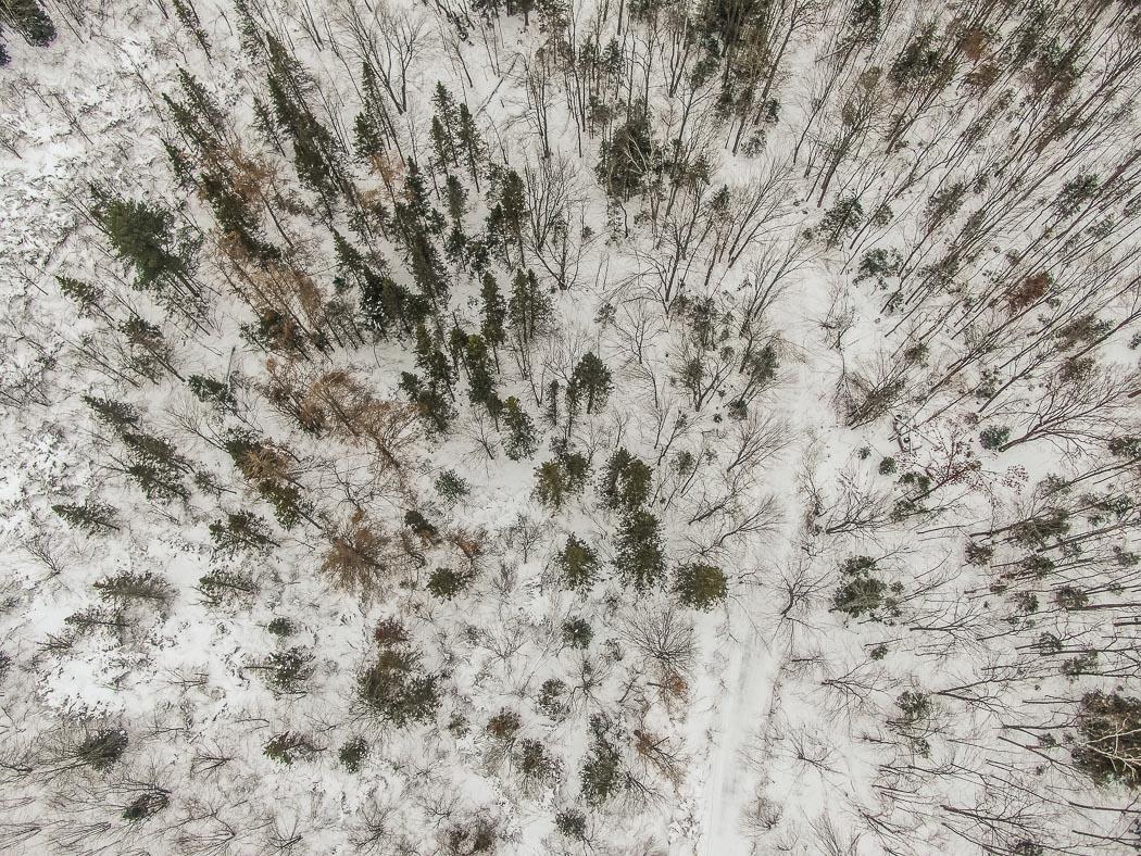 Lot 10 Porchuk Road, Off Reids Road, Echo Bay Ontario, Canada
