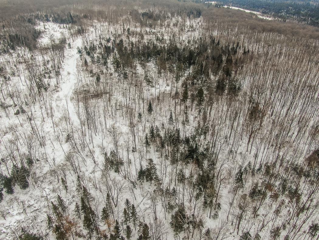 Lot 10 Porchuk Road, Off Reids Road, Echo Bay Ontario, Canada