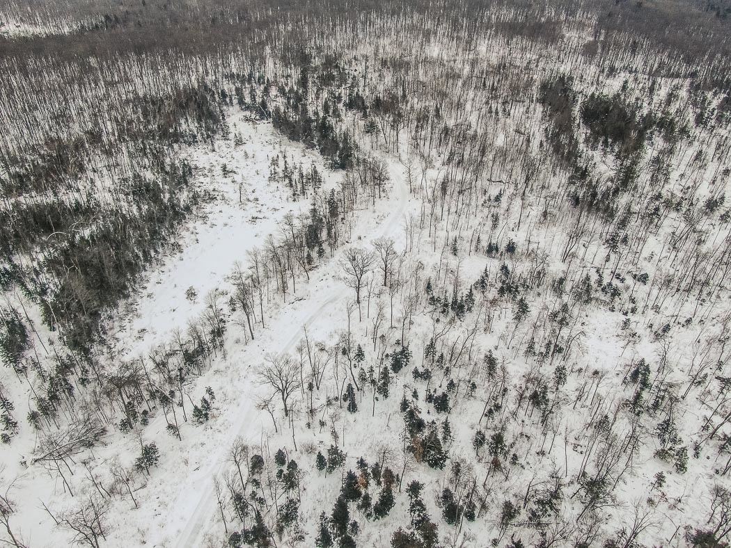 Lot 10 Porchuk Road, Off Reids Road, Echo Bay Ontario, Canada