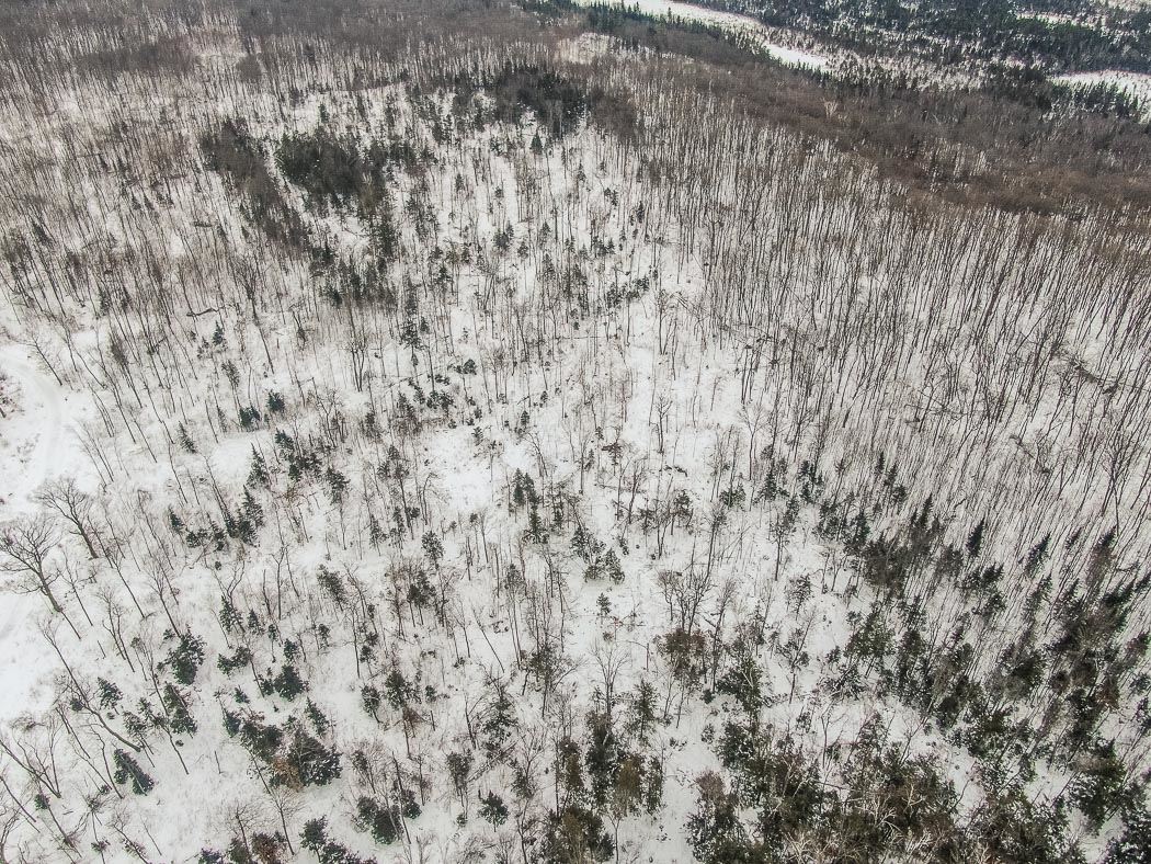 Lot 10 Porchuk Road, Off Reids Road, Echo Bay Ontario, Canada