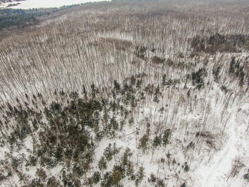Lot 10 Porchuk Road, Off Reids Road, Echo Bay Ontario, Canada
