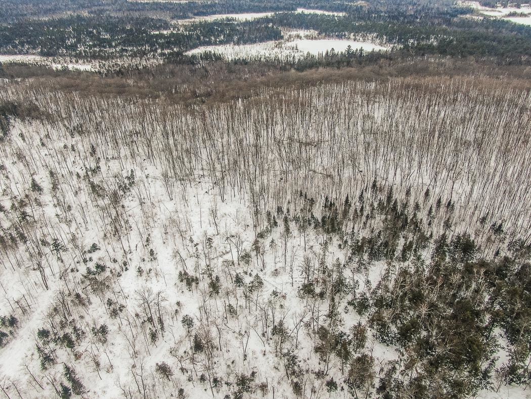 Lot 10 Porchuk Road, Off Reids Road, Echo Bay Ontario, Canada