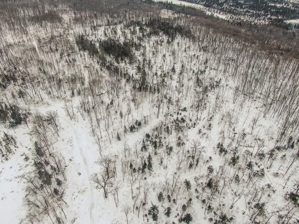 Lot 10 Porchuk Road, Off Reids Road, Echo Bay Ontario, Canada