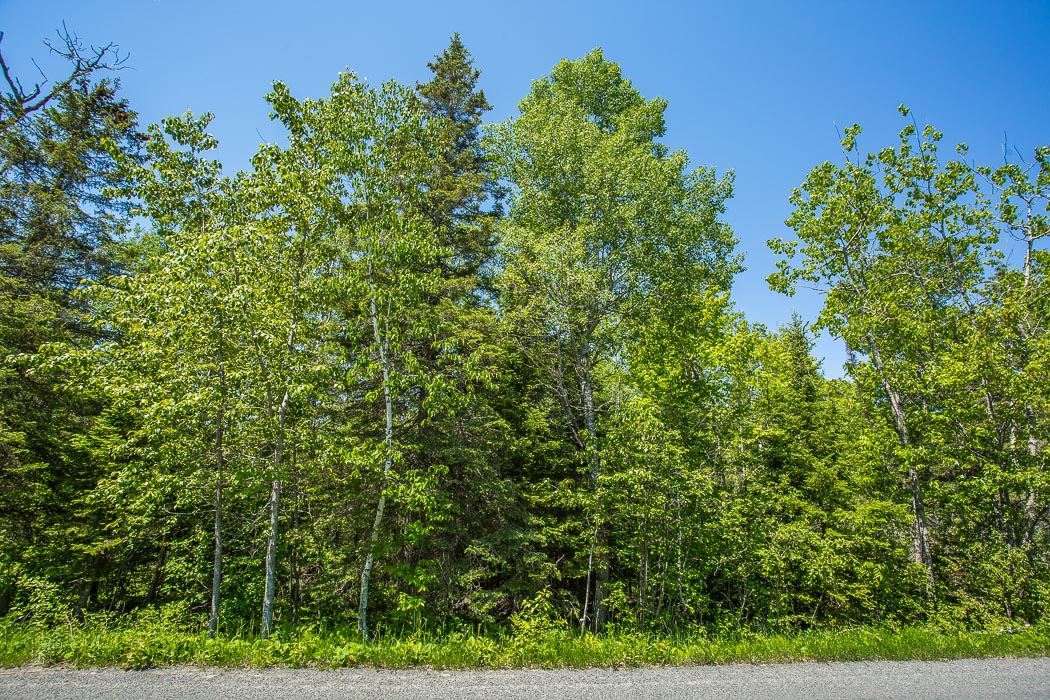 McKnight Road, Desbarats Ontario, Canada