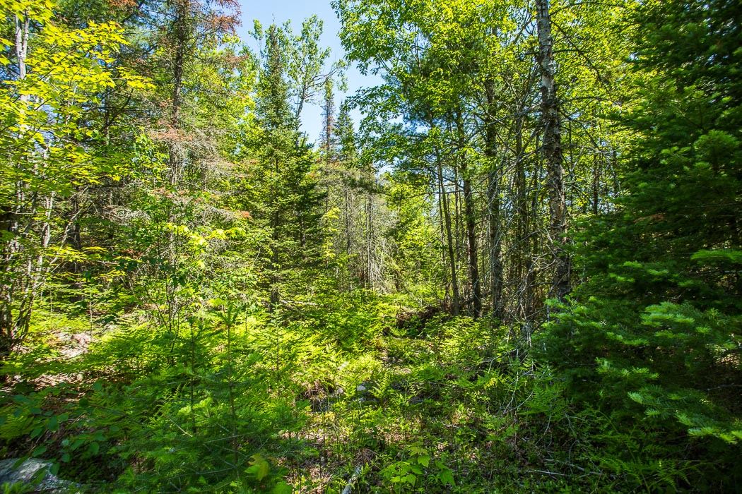 McKnight Road, Desbarats Ontario, Canada