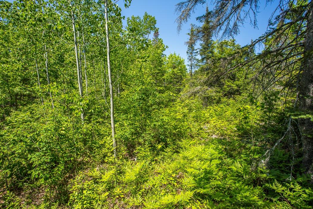 McKnight Road, Desbarats Ontario, Canada