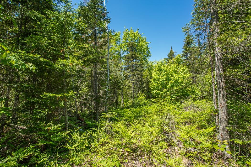 McKnight Road, Desbarats Ontario, Canada