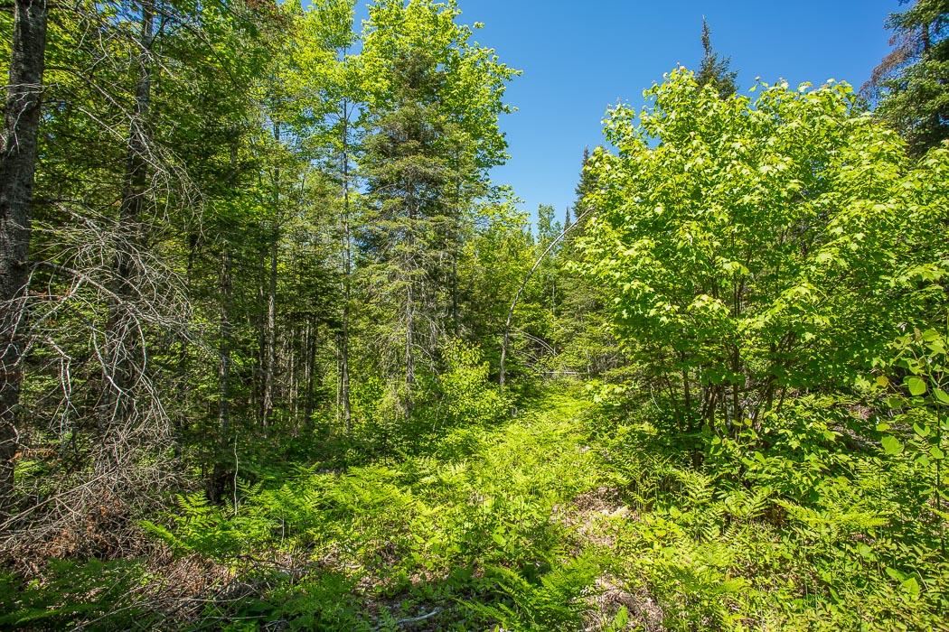 McKnight Road, Desbarats Ontario, Canada