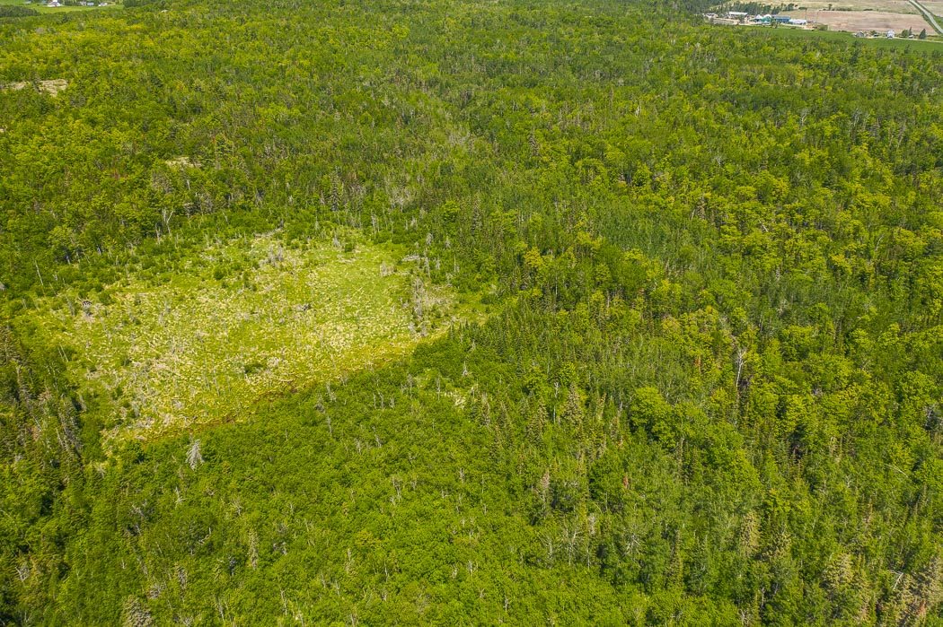 McKnight Road, Desbarats Ontario, Canada