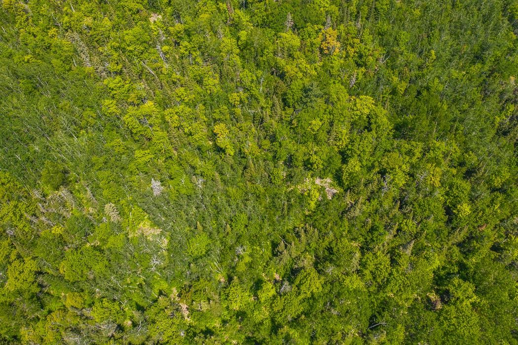 McKnight Road, Desbarats Ontario, Canada