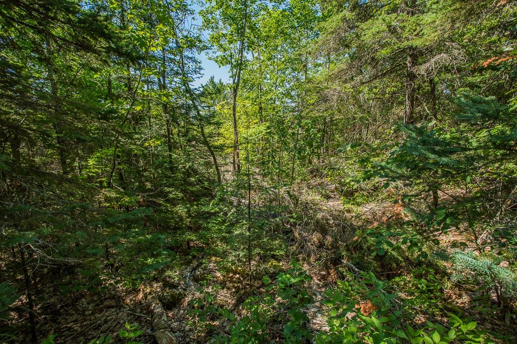 211 B (Lot 2) Island View Drive, Huron Shores Ontario, Canada