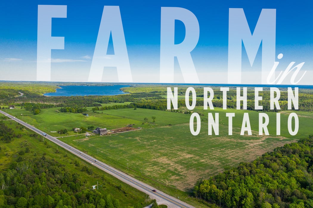 15669 Highway 17 East, Thessalon, Ontario, Canada